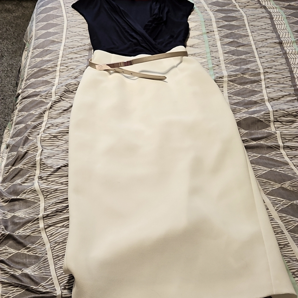 Ted Baker London Navy and Cream sheath/midi